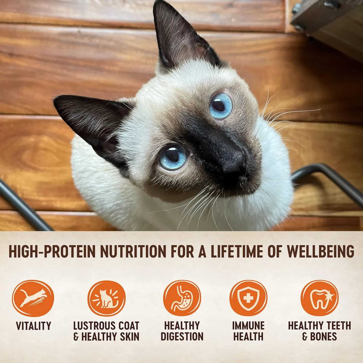 Wellness CORE Signature Selects Shredded Adult Wet Cat Food, Natural, Protein-Rich, Grain Free, 2.8 Ounce, 8 Pack (Poultry Variety Pack)