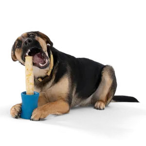 West Paw Design Funnl Dog Toy